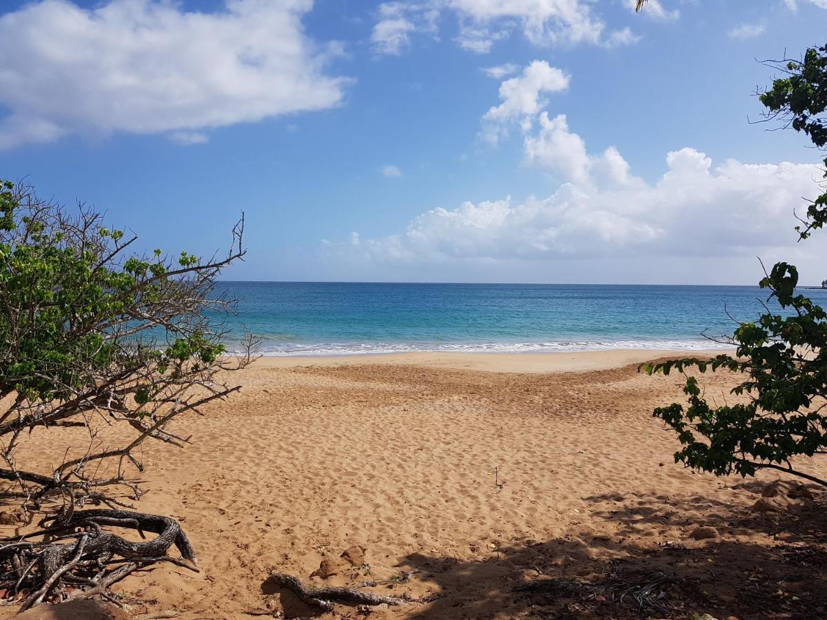 L'Aurielle, Tout Le Confort A 500M De La Plage Sainte-Rose Exterior foto