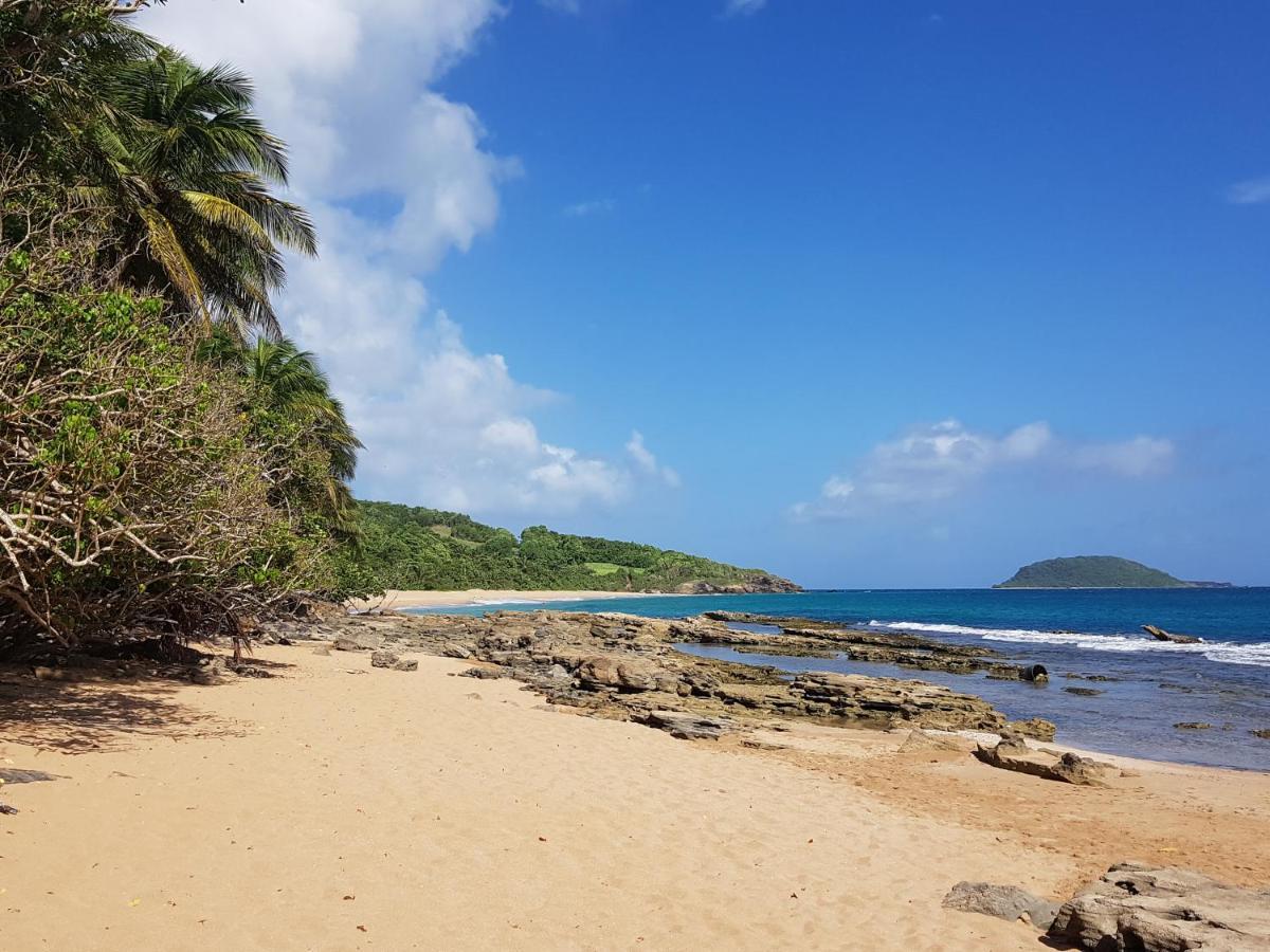 L'Aurielle, Tout Le Confort A 500M De La Plage Sainte-Rose Exterior foto